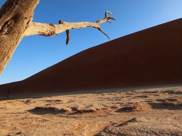 Dead Vlei, Sossusvlei, Namibia