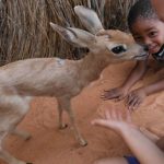 Sharon, Cadan and a Steenbok at Om Jan's farm