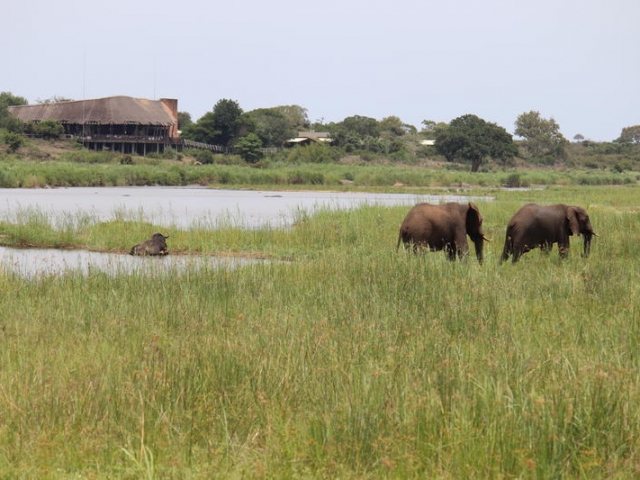 Lower Sabie Restaurant from the river, Kruger National Park