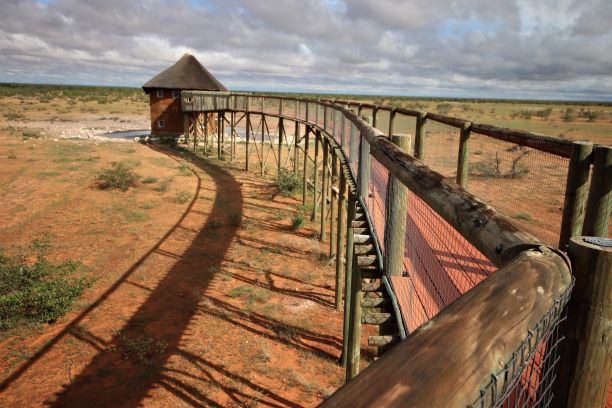 Self-drive Southern Africa