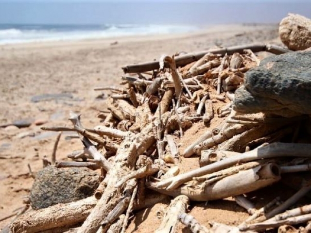 Skeleton Coast, Namibia