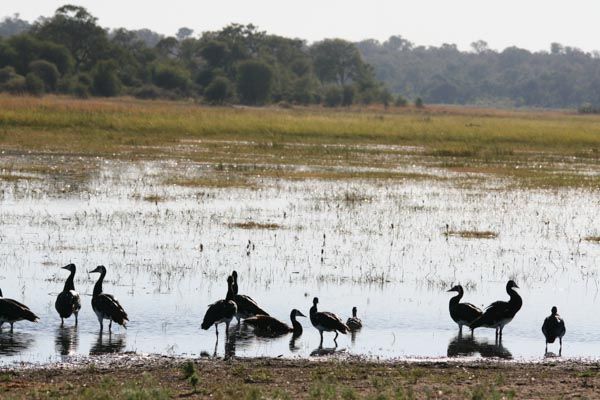 Caprivi Strip