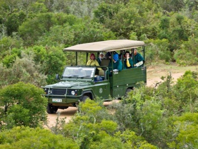 Addo Elephant National Park Game Drive