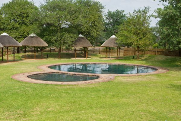 Satara pool, Kruger National Park
