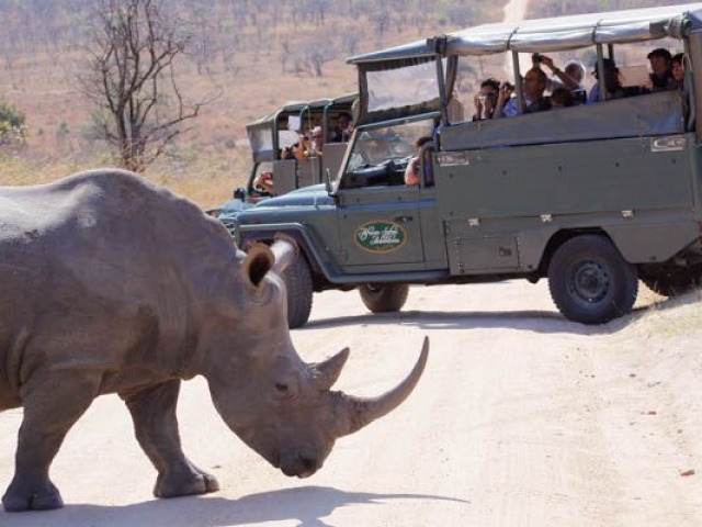 Kruger Under Canvas, open safari vehicle