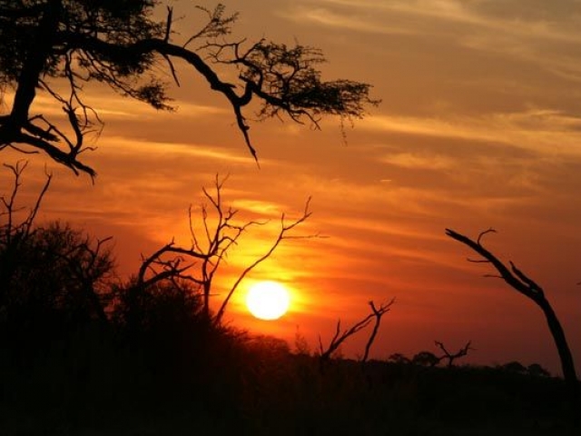 Savute sunset, Chobe National Park, Botswana