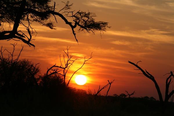 Chobe Savute, Botswana