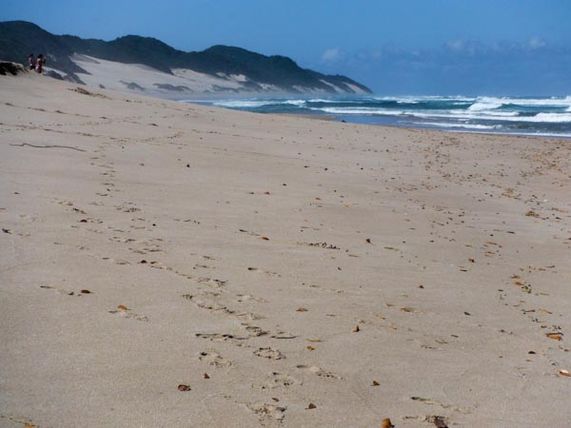 Wild beaches, Kwa-Zulu Natal, South Africa