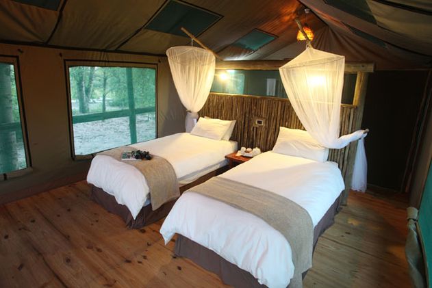 Nata Lodge, Safari Tent