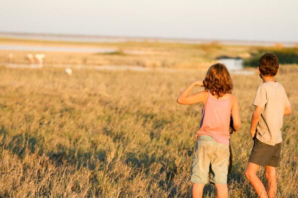 Getting close to flamingoes, Nata Bird Sanctuary, Botswana