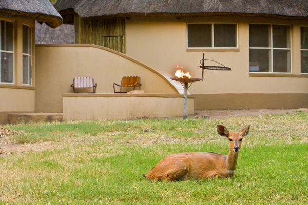 Letaba Bungalows, Kruger National Park