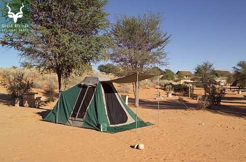 Twee Rivieren Campsite, Kgalagadi Transfrontier Park