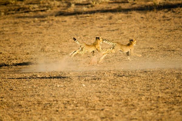 Mabuasehube, Kgalagadi, Botswana