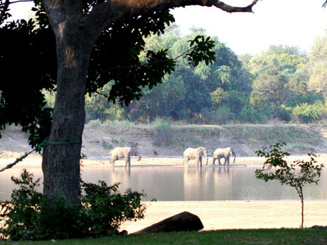 Croc Valley Camp, views across the Luangwa River, Malawi and Zambia