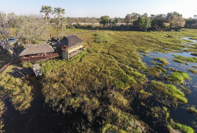 Moremi Crossing