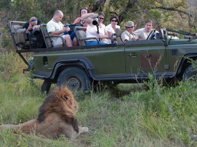 Elephant Plains Lodge game drive