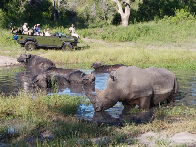 Elephant Plains Lodge game drive