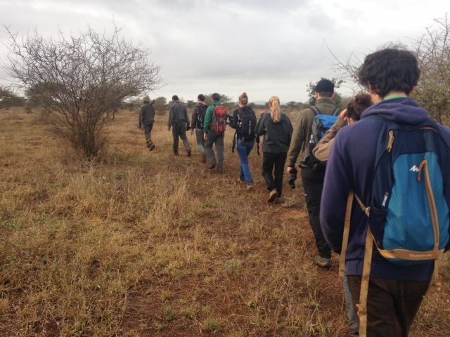 Morning walk with rangers, Kruger National Park