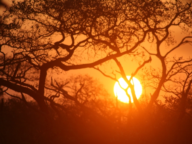 Kruger sunset