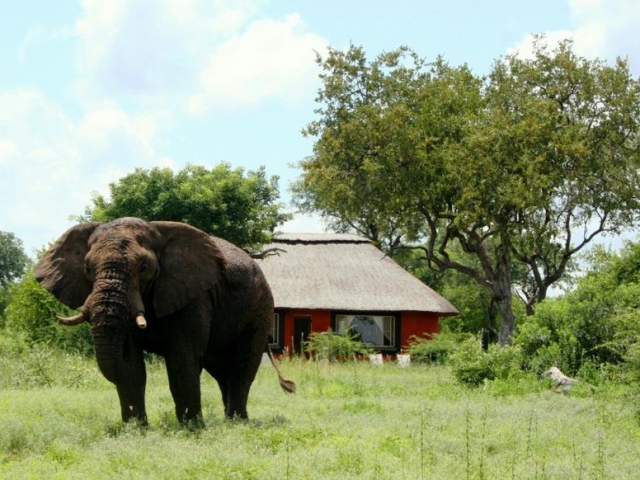 Mohlabetsi Safari Lodge, Kruger (Upgrade)