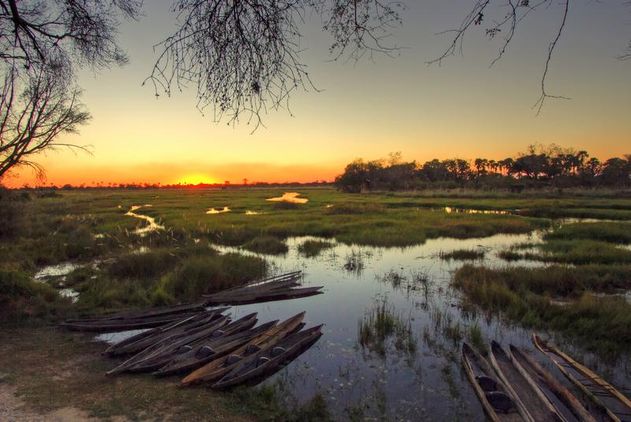 Okavango Delta, Botswana