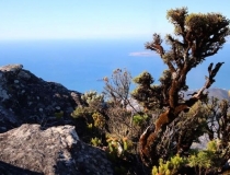 View from Table Mountain, Cape Town, South Africa