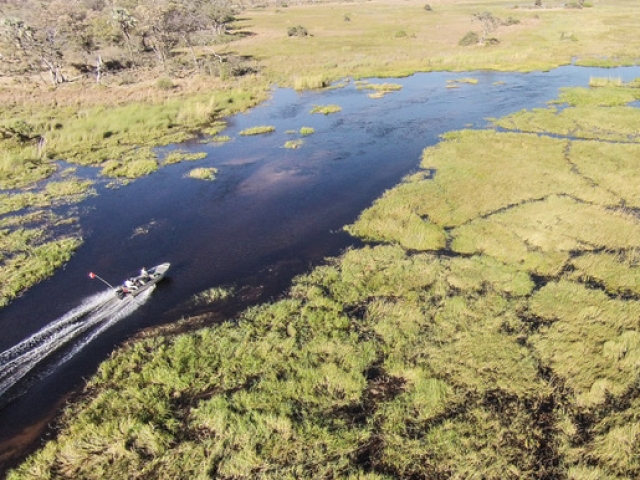 Boat Cruise in the Okavango Delta