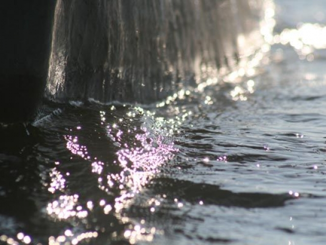 Sparkling waters of the Okavango Delta