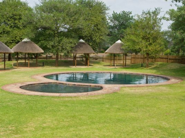 Satara pool, Kruger National Park