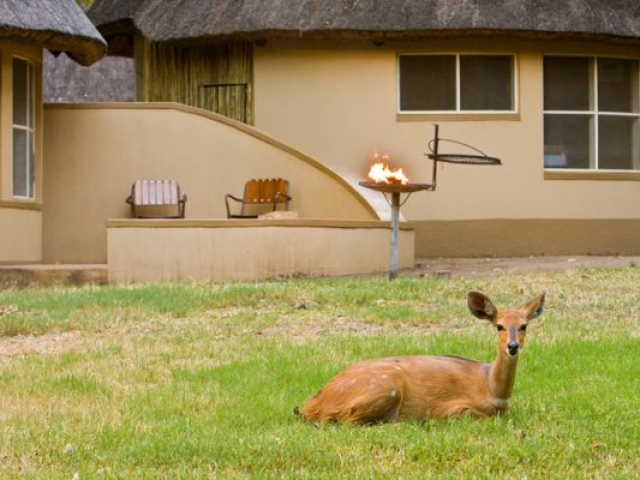 Letaba Bungalows, Kruger National Park