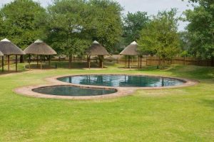 Satara swimming pool, Kruger