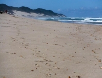 Wild beaches, Kwa-Zulu Natal, South Africa