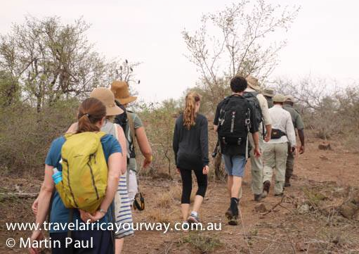 out on a walking safari