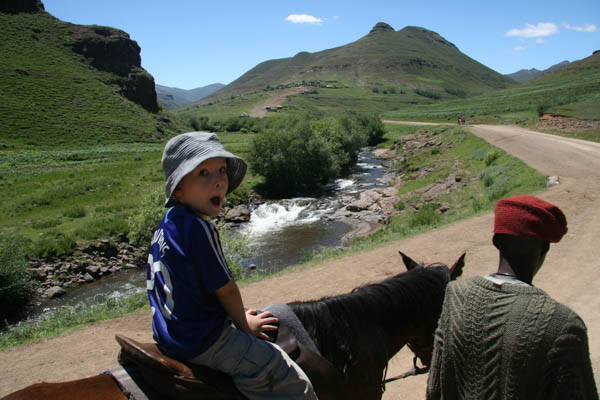 "Look at me" - Cadan loving pony trekking in eastern Lesotho