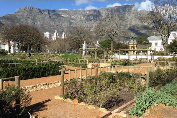 Table Mountain, Cape Town, South Africa