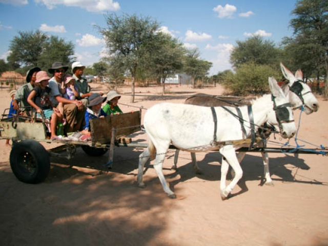 Donkey ride fun!