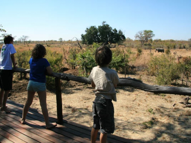 Watching an elephant - Kapula, Hwange National Park, Zimbabwe