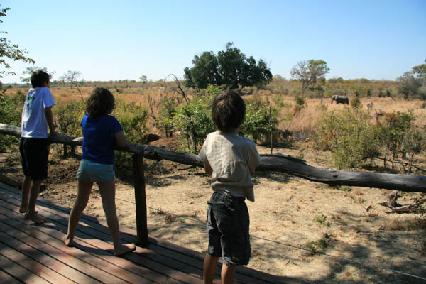 Watching an elephant - Kapula, Hwange National Park, Zimbabwe