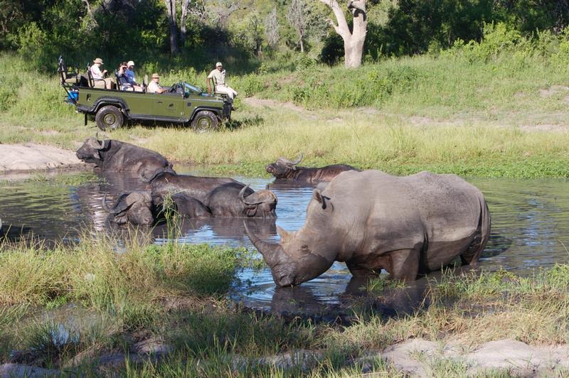 self drive Kruger