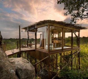 African safaris - luxury tree house in Kruger National Park