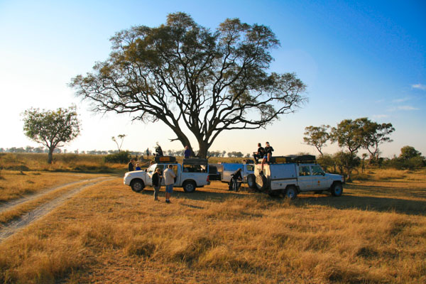 Moremi, self-drive Botswana