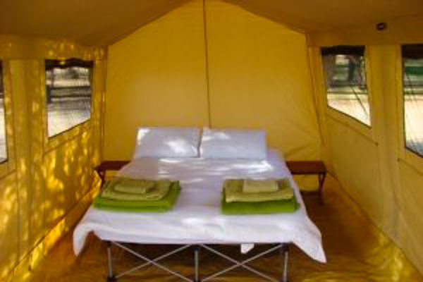 Kruger under Canvas