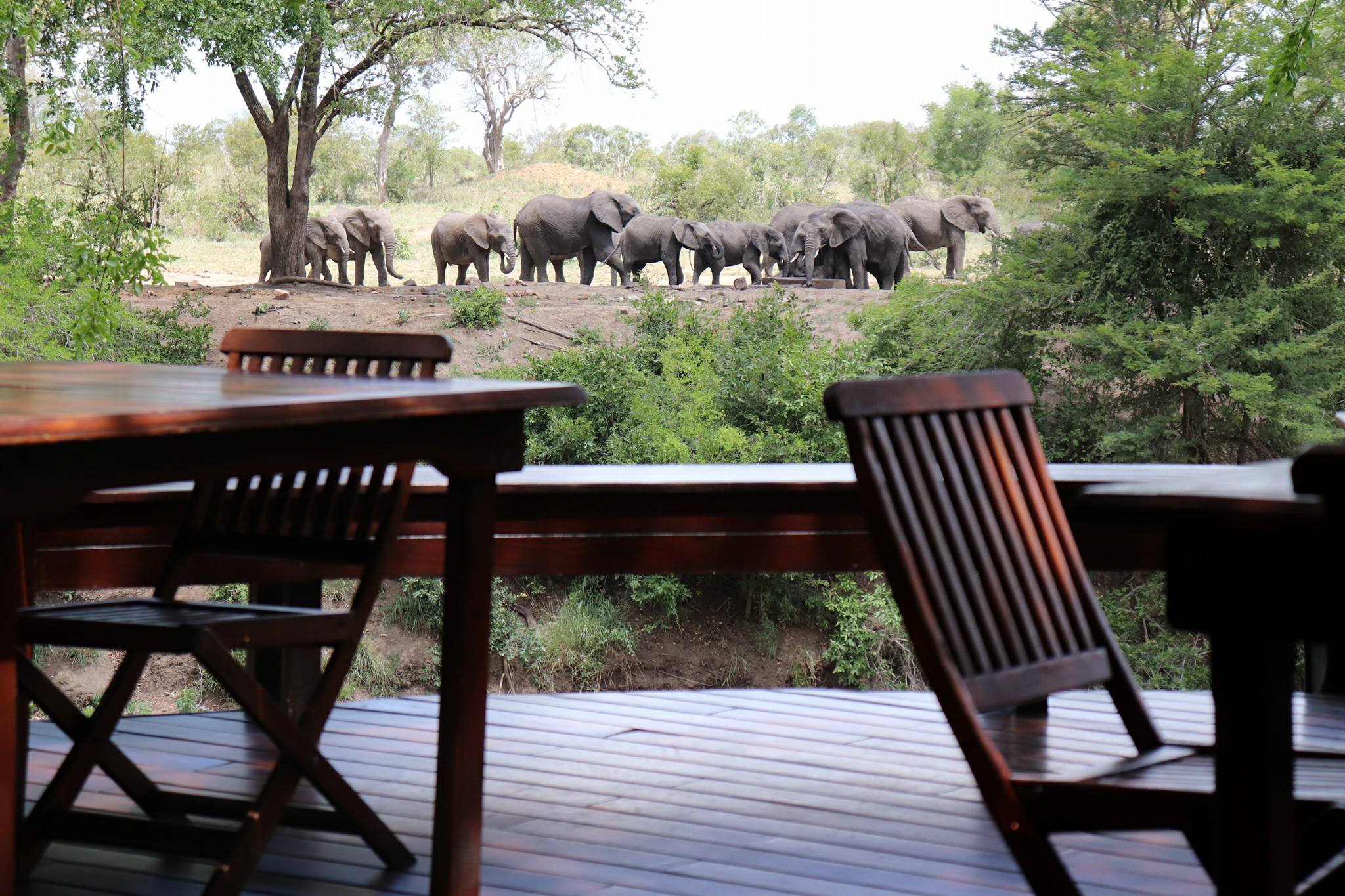 Luxury Kruger, South Africa