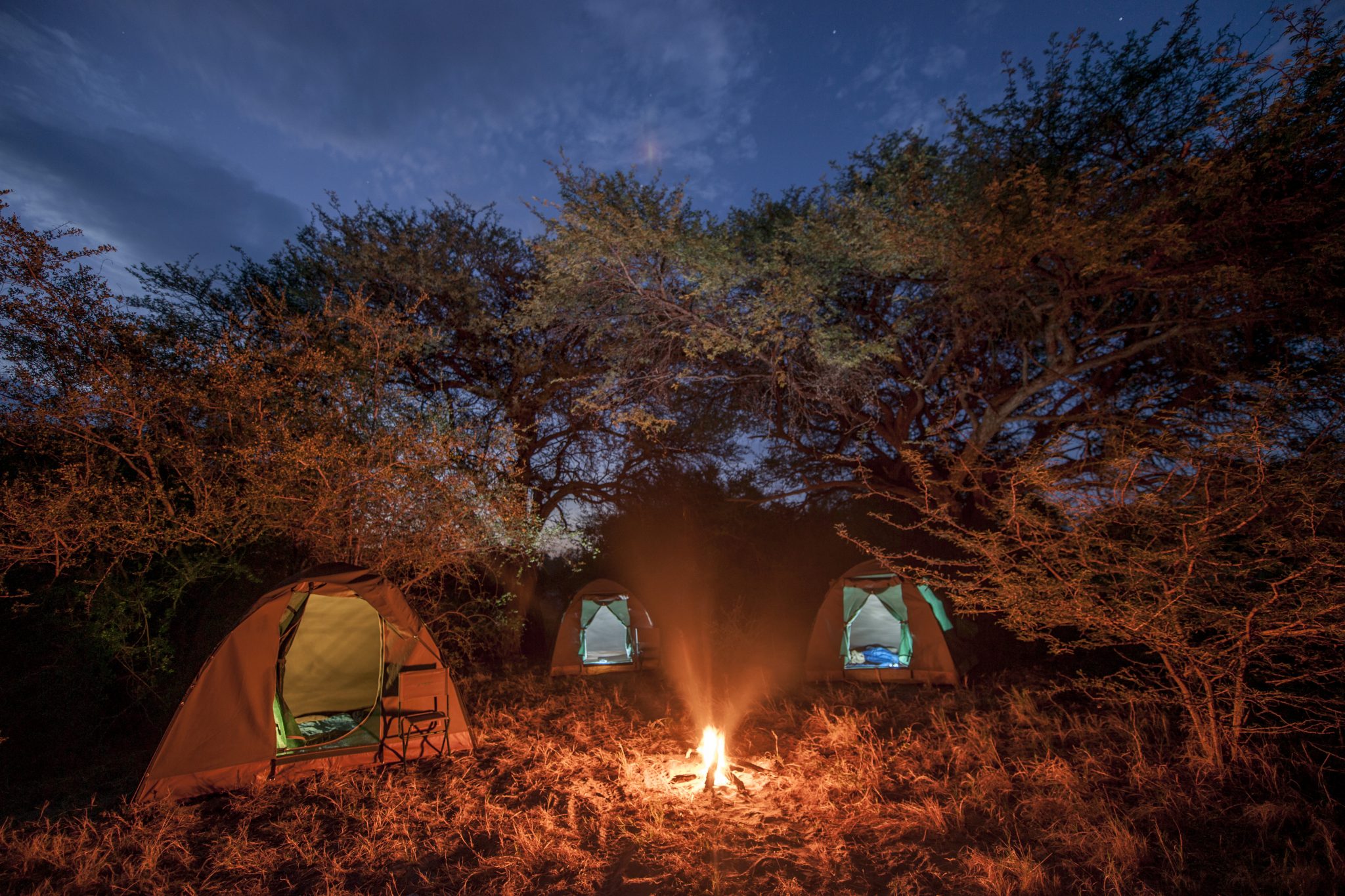 Mobile safari under the stars, Botswana