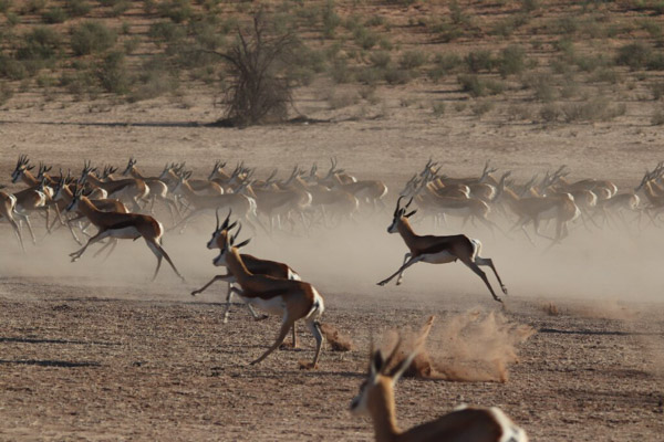 Self-drive Cape to Windhoek