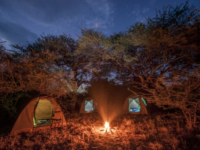 Botswana's best camp - guided safari Botswana