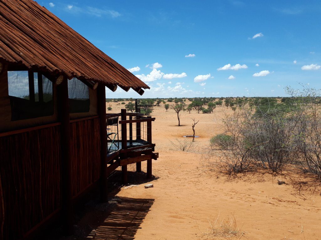 Self drive to the off-the-beaten track Gharagab Wilderness Camp in the Kgalagadi, South Africa