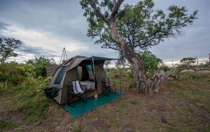 Delta Rain, Botswana, mobile camping, guided safari