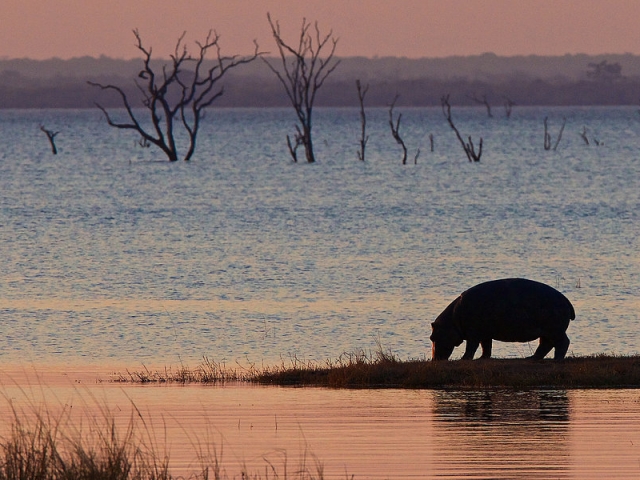 Perfect sunsets at Hippo Bay, Kafue National Park