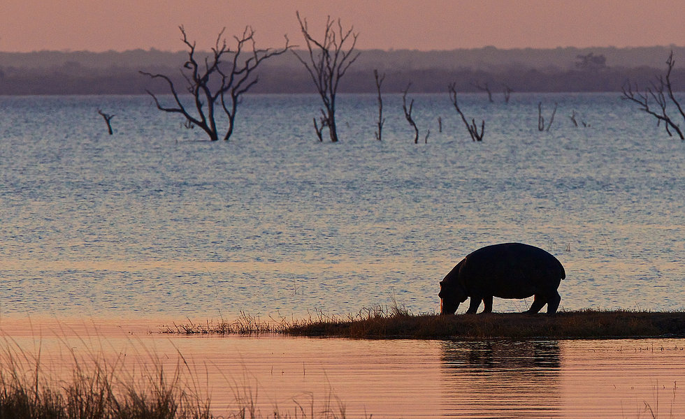 Perfect sunsets at Hippo Bay, Kafue National Park